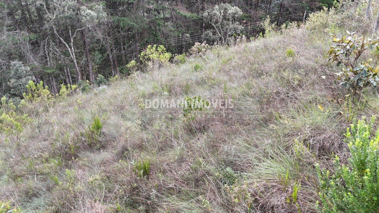 Terreno, 1985 m² - Foto 15