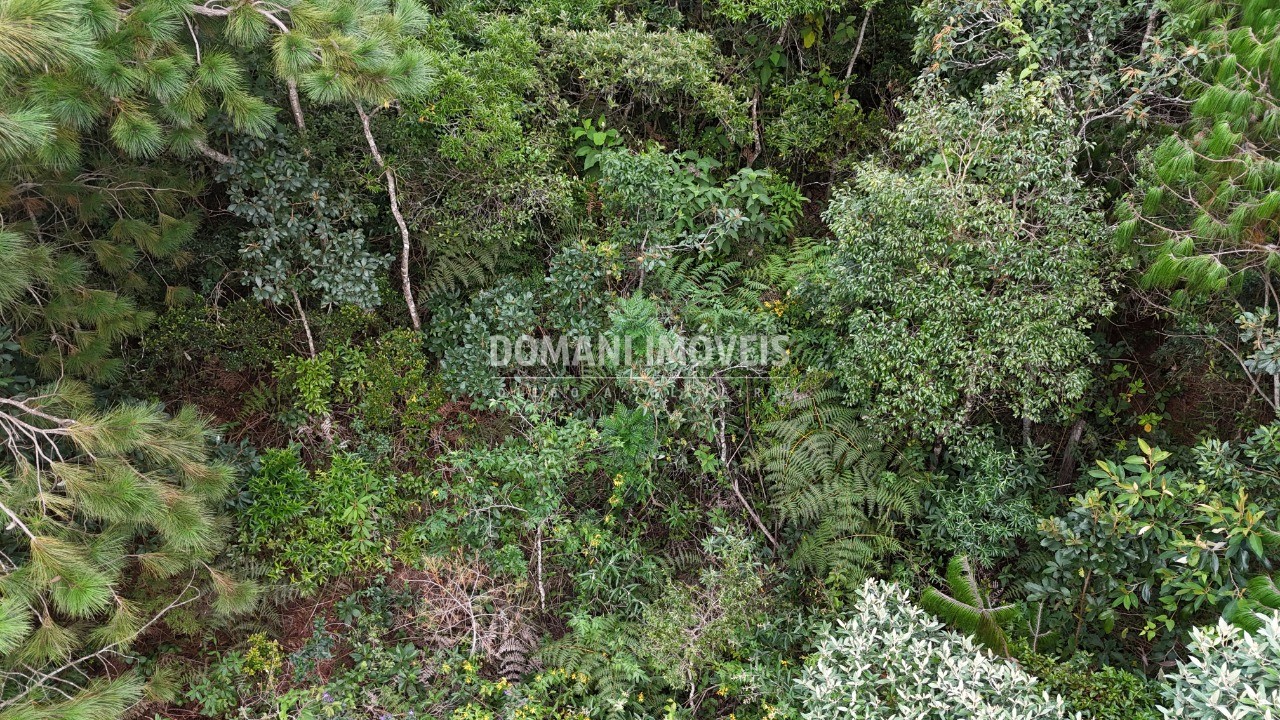 Terreno, 1010 m² - Foto 16