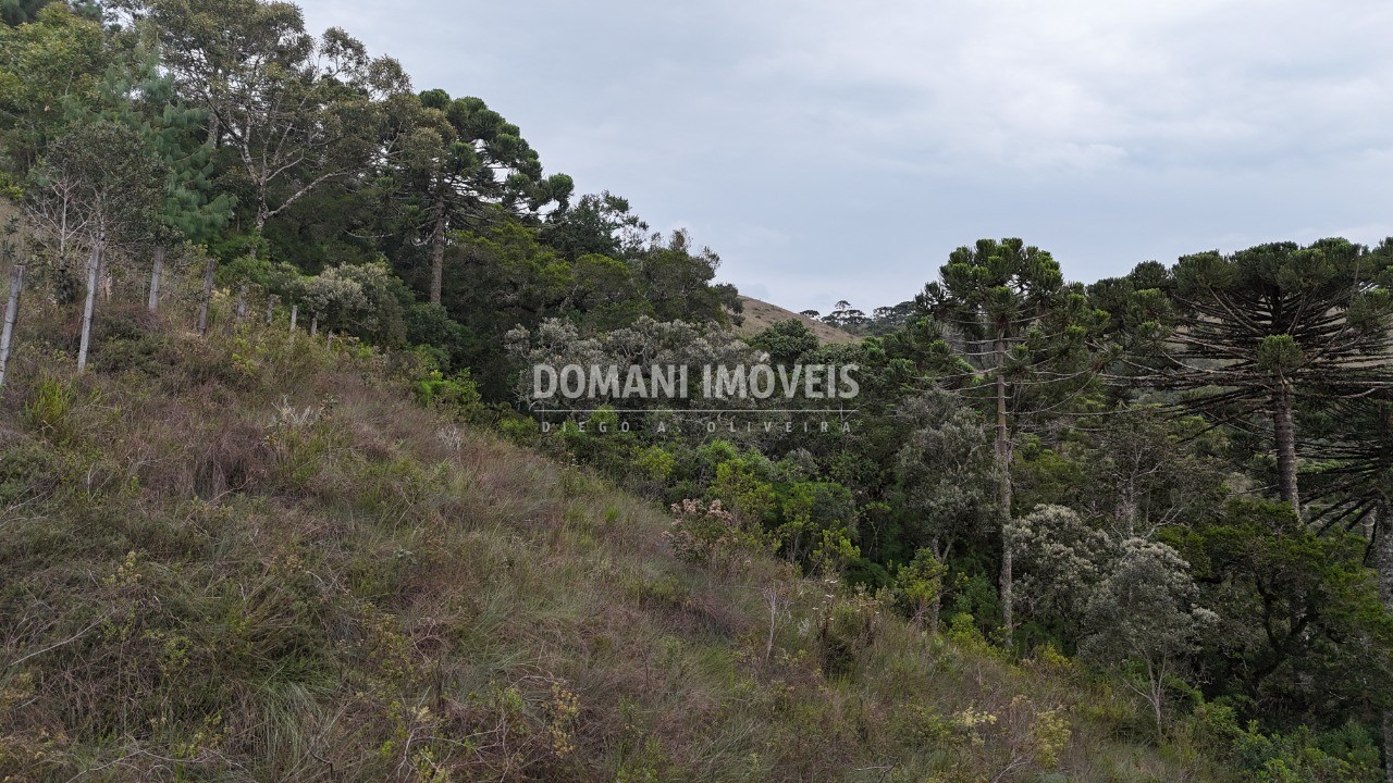 Terreno, 1985 m² - Foto 9
