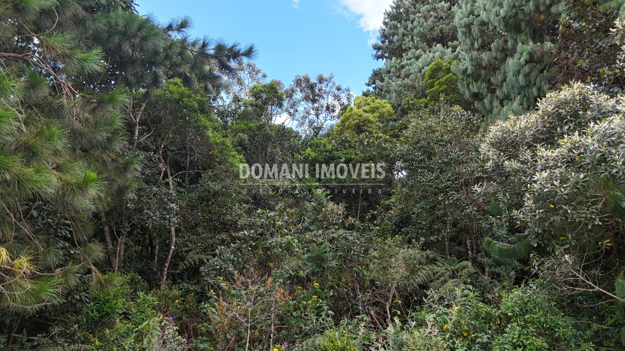 Terreno, 1010 m² - Foto 12
