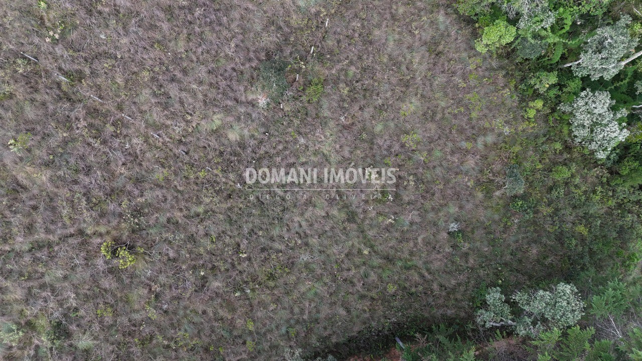 Terreno, 1985 m² - Foto 20