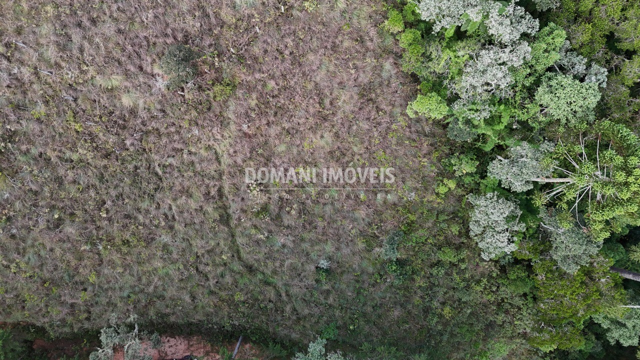 Terreno, 1985 m² - Foto 4