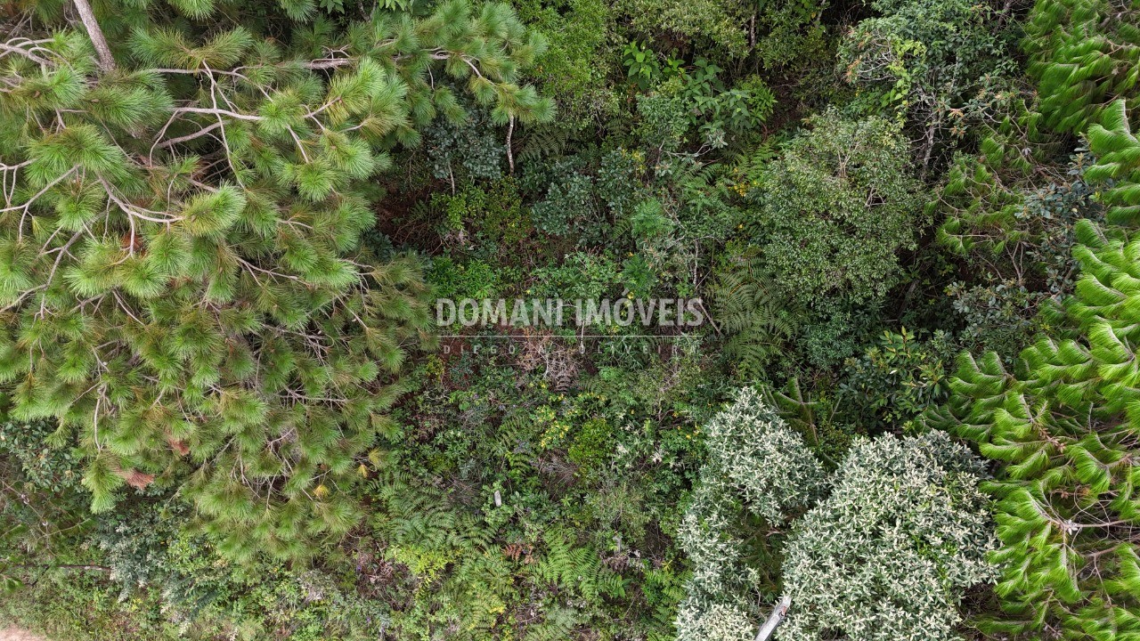 Terreno, 1010 m² - Foto 15