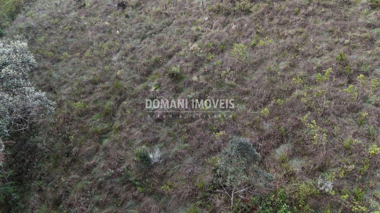 Terreno, 1985 m² - Foto 12