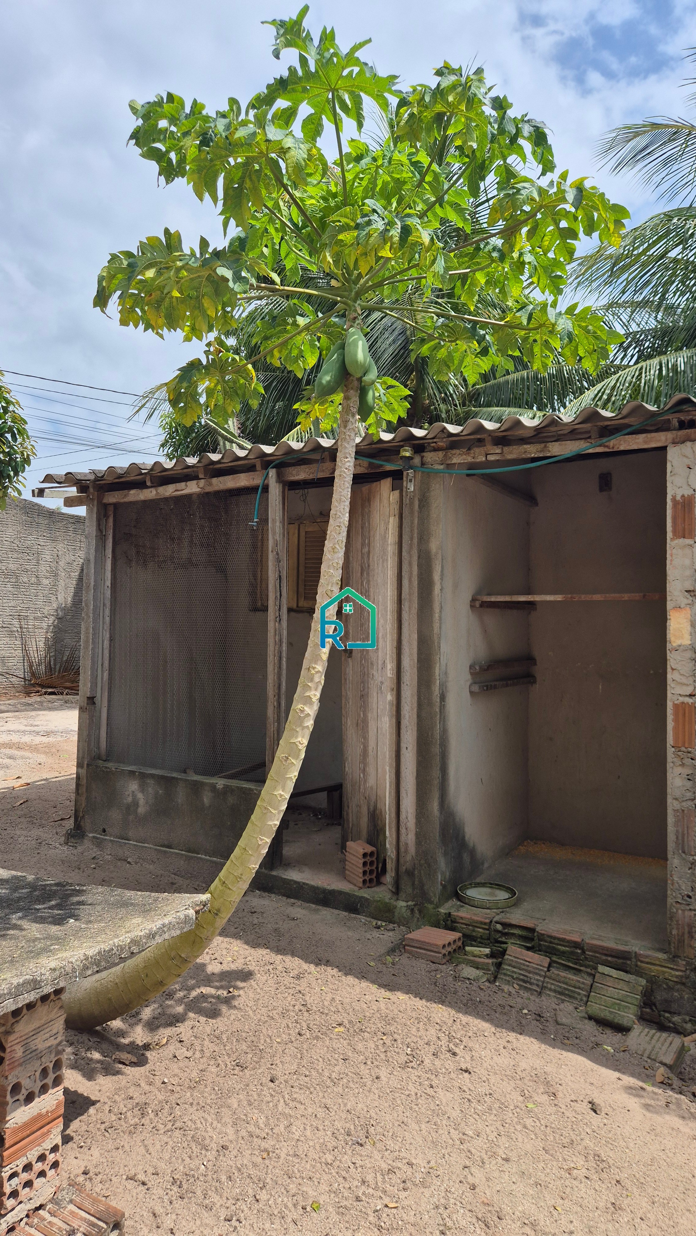 Chácara, 3 quartos - Foto 6