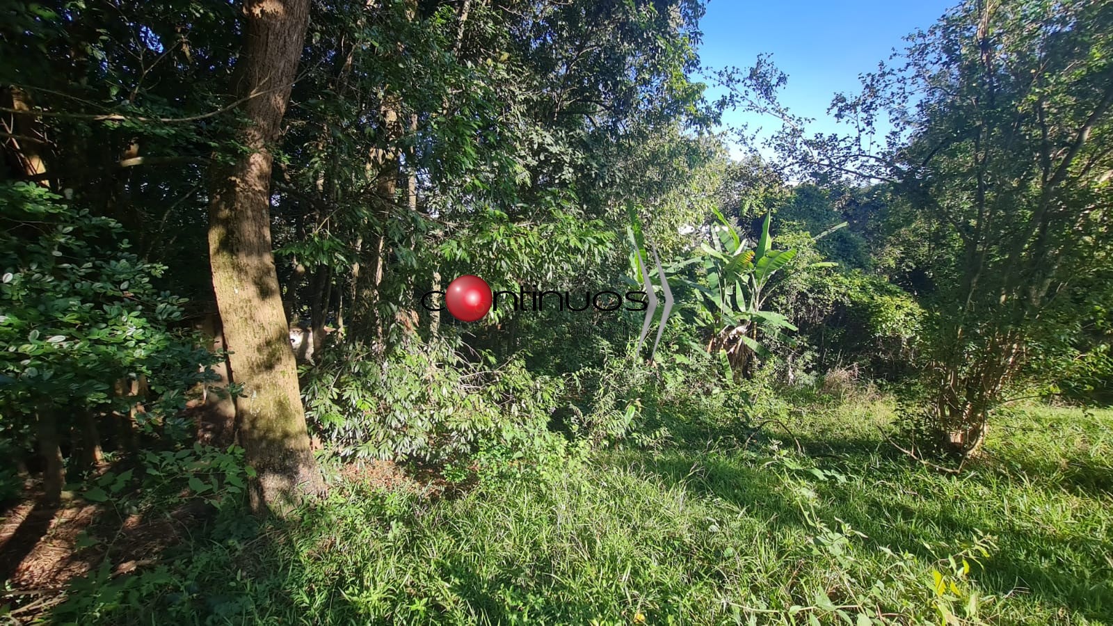 Terreno, 1060 m² - Foto 5