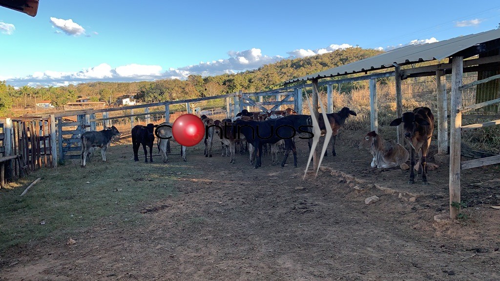 Fazenda, 3 quartos - Foto 37