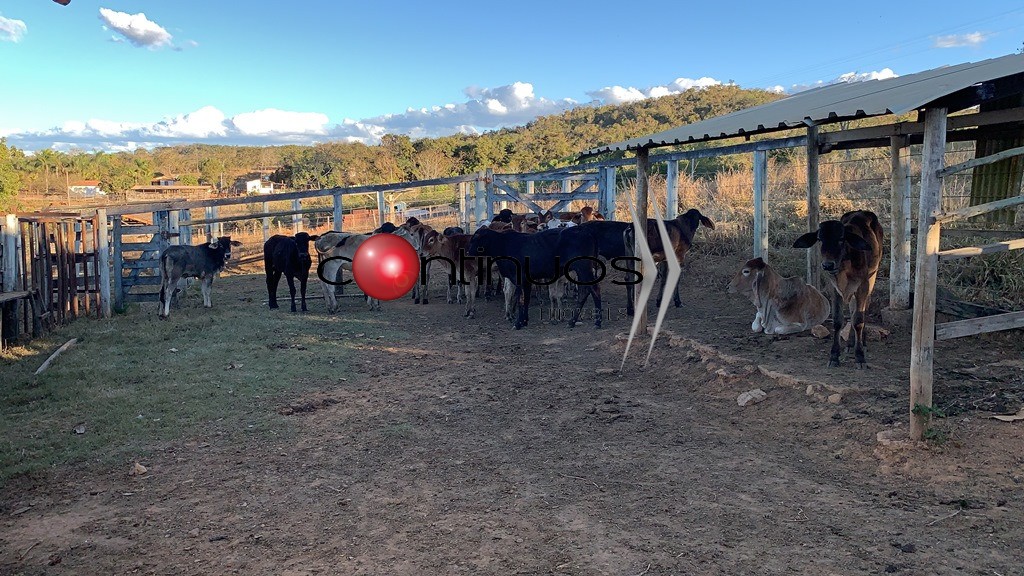 Fazenda, 3 quartos - Foto 38