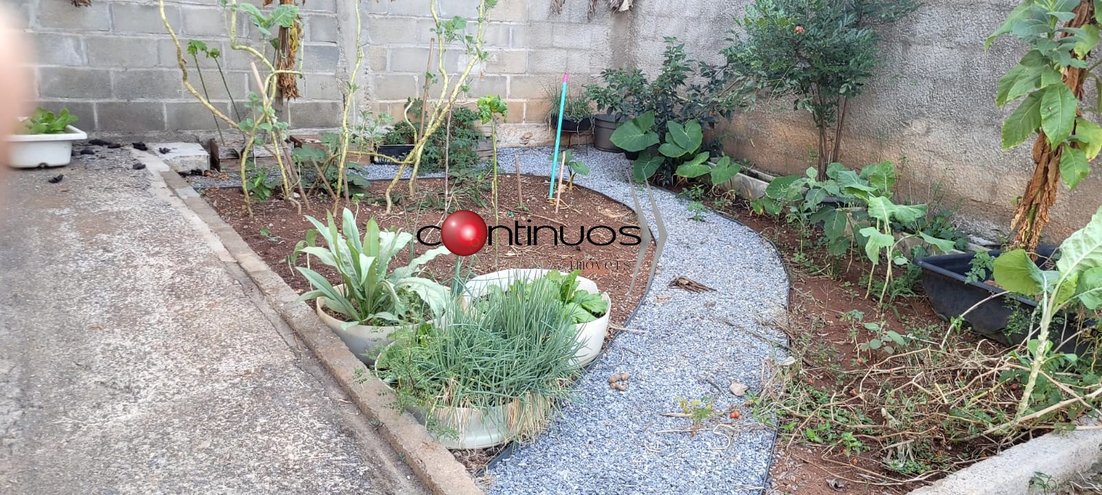 Casa, 3 quartos - Foto 15