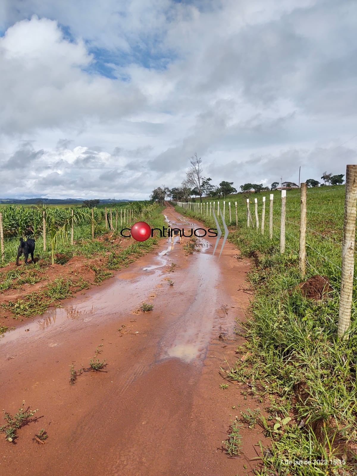 Fazenda-Sítio-Chácara, 3 quartos - Foto 44