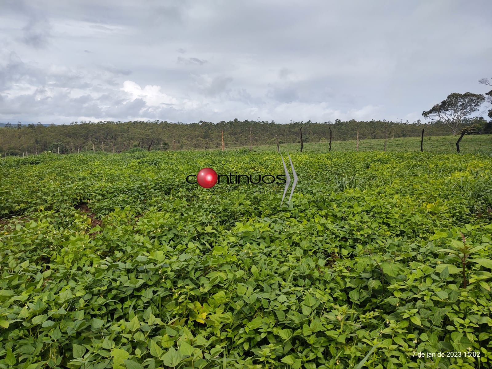Fazenda-Sítio-Chácara, 3 quartos - Foto 1