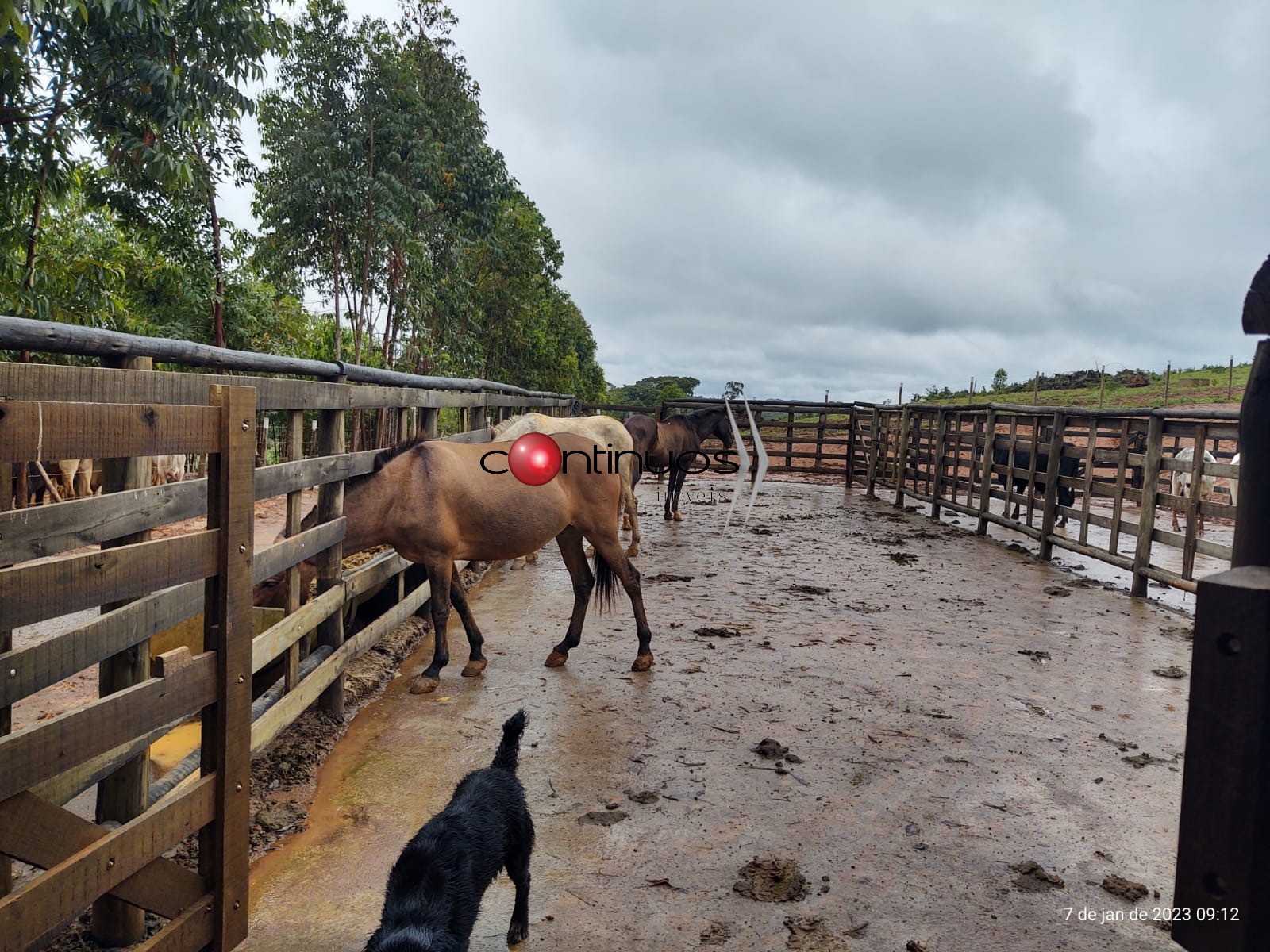 Fazenda-Sítio-Chácara, 3 quartos - Foto 28