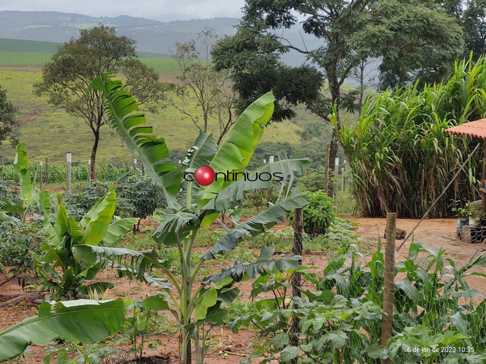 Fazenda-Sítio-Chácara, 3 quartos - Foto 29