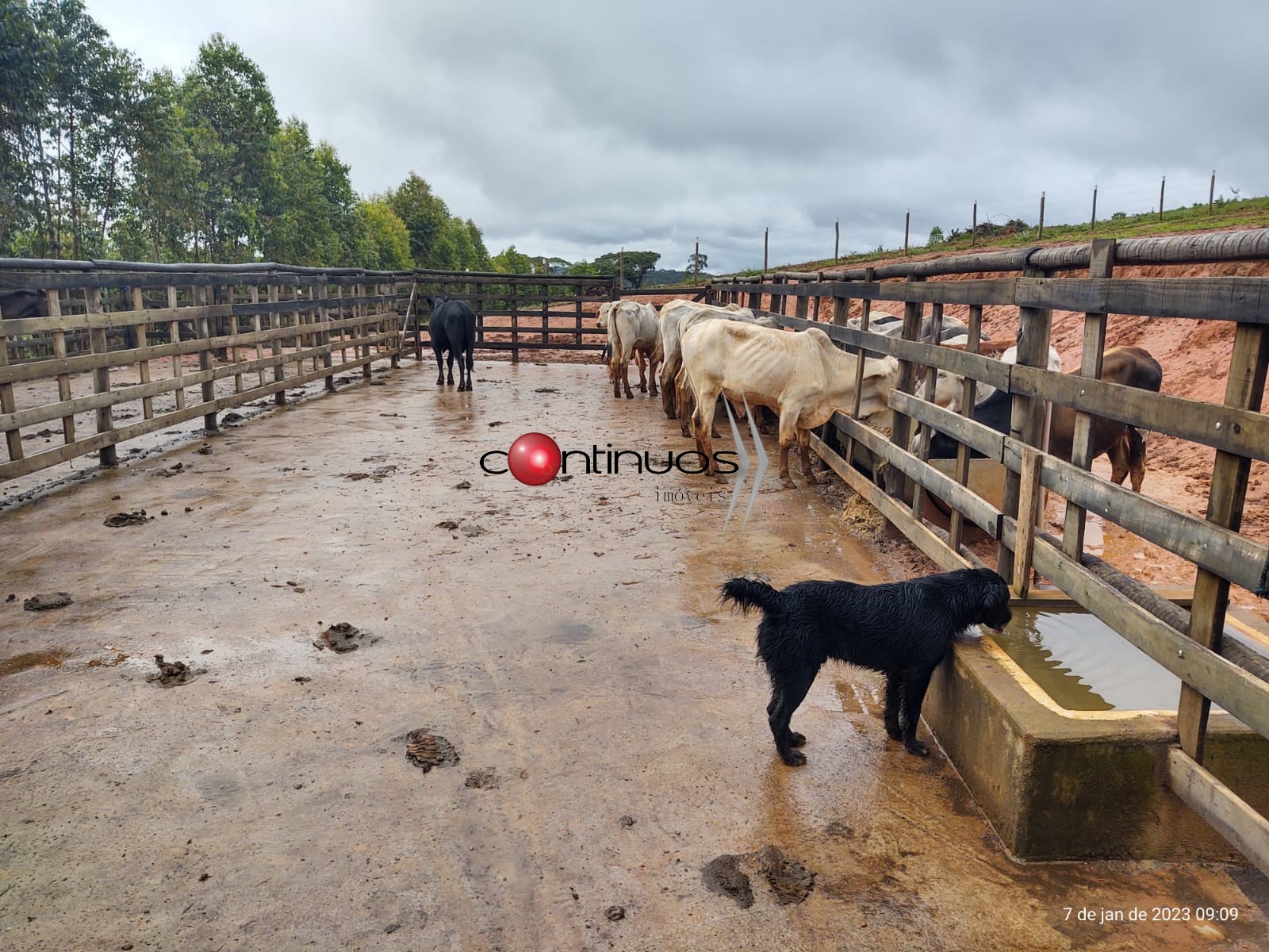 Fazenda-Sítio-Chácara, 3 quartos - Foto 26