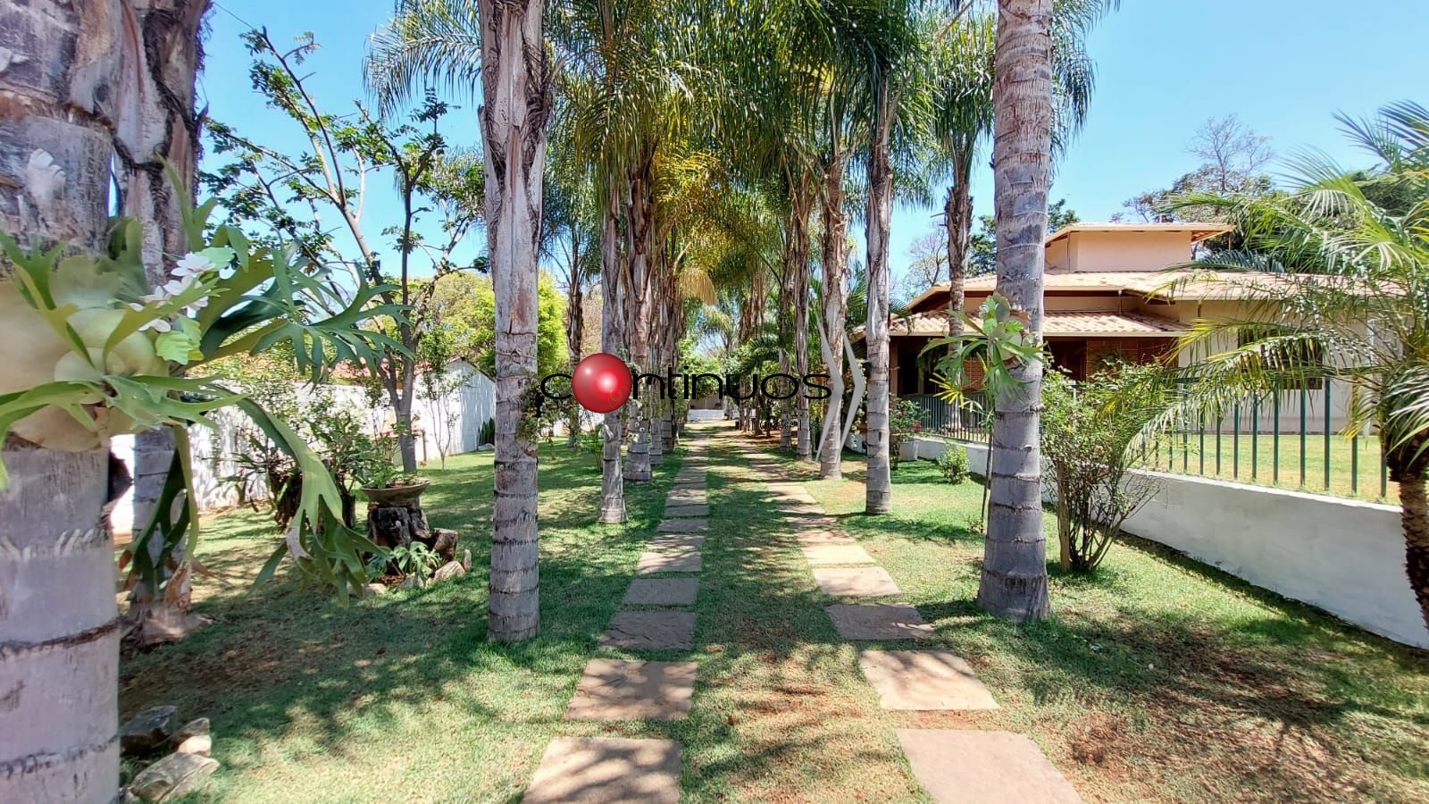 Casa, 3 quartos, 367 m² - Foto 6