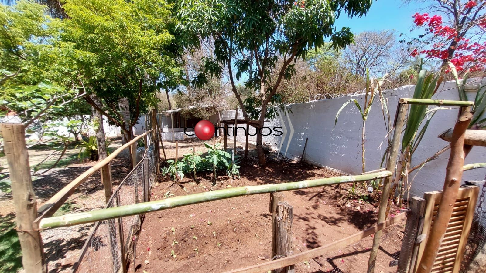 Casa, 3 quartos, 367 m² - Foto 45