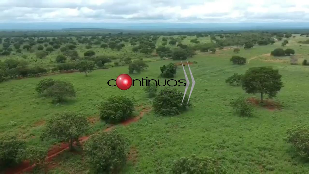 Fazenda, 4 quartos - Foto 4