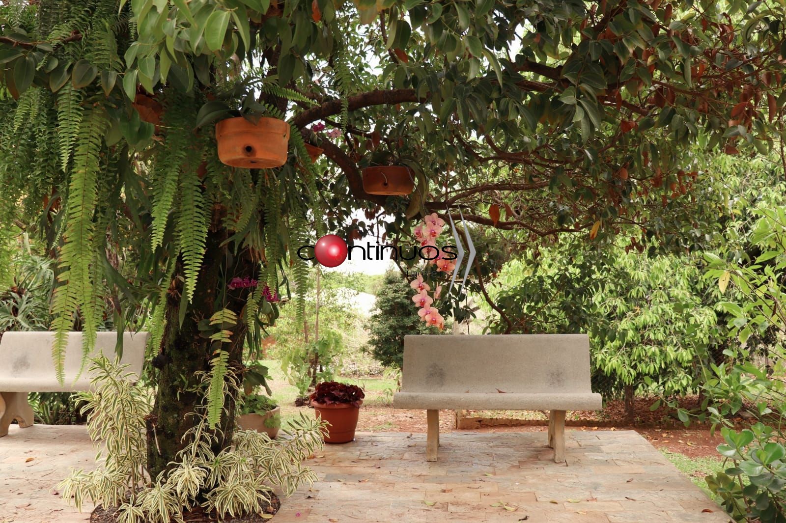 Casa de Condomínio, 4 quartos - Foto 34