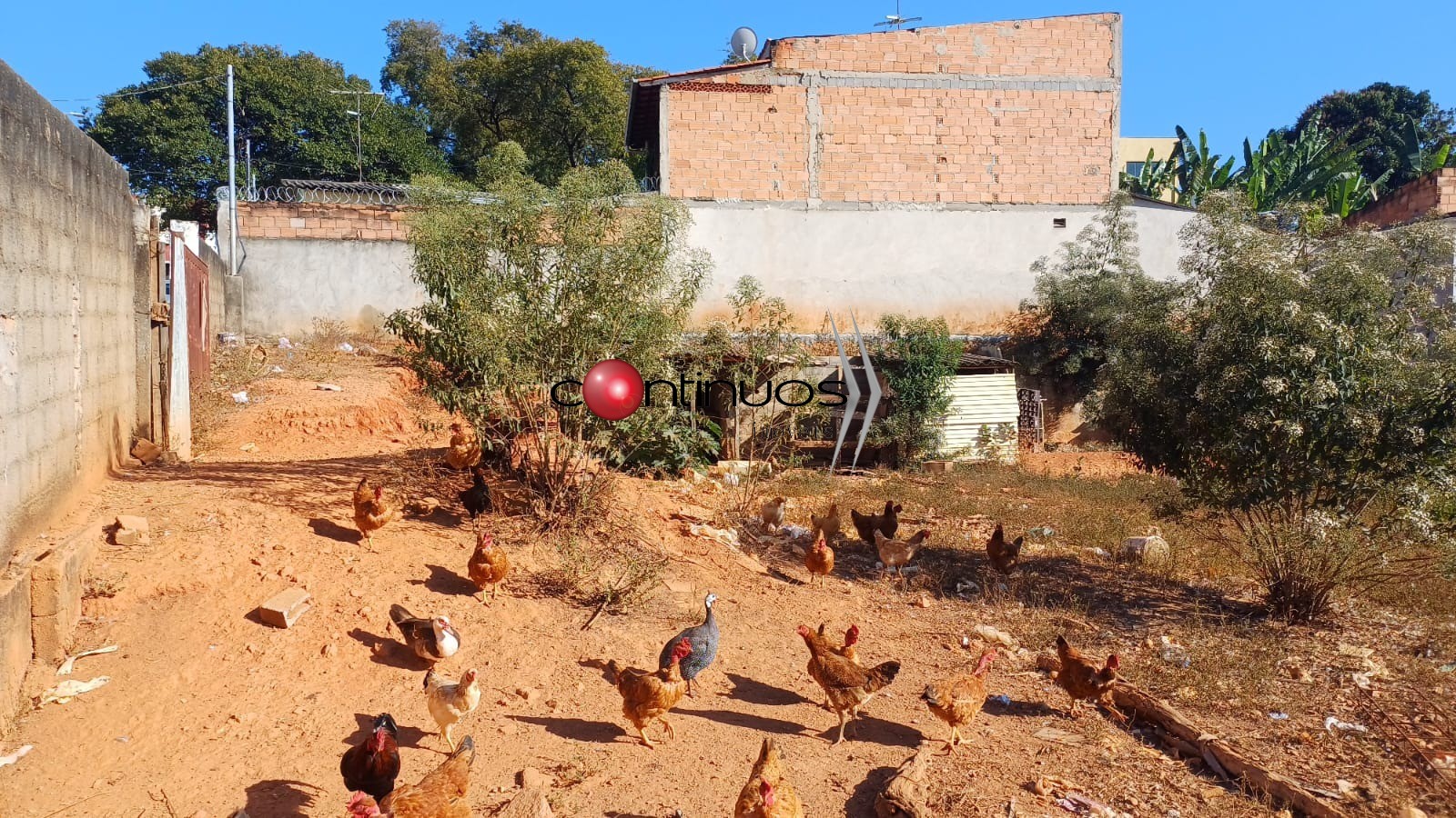 Terreno, 504 m² - Foto 6