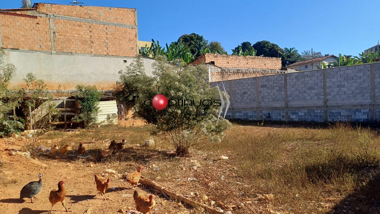 Terreno, 504 m² - Foto 3