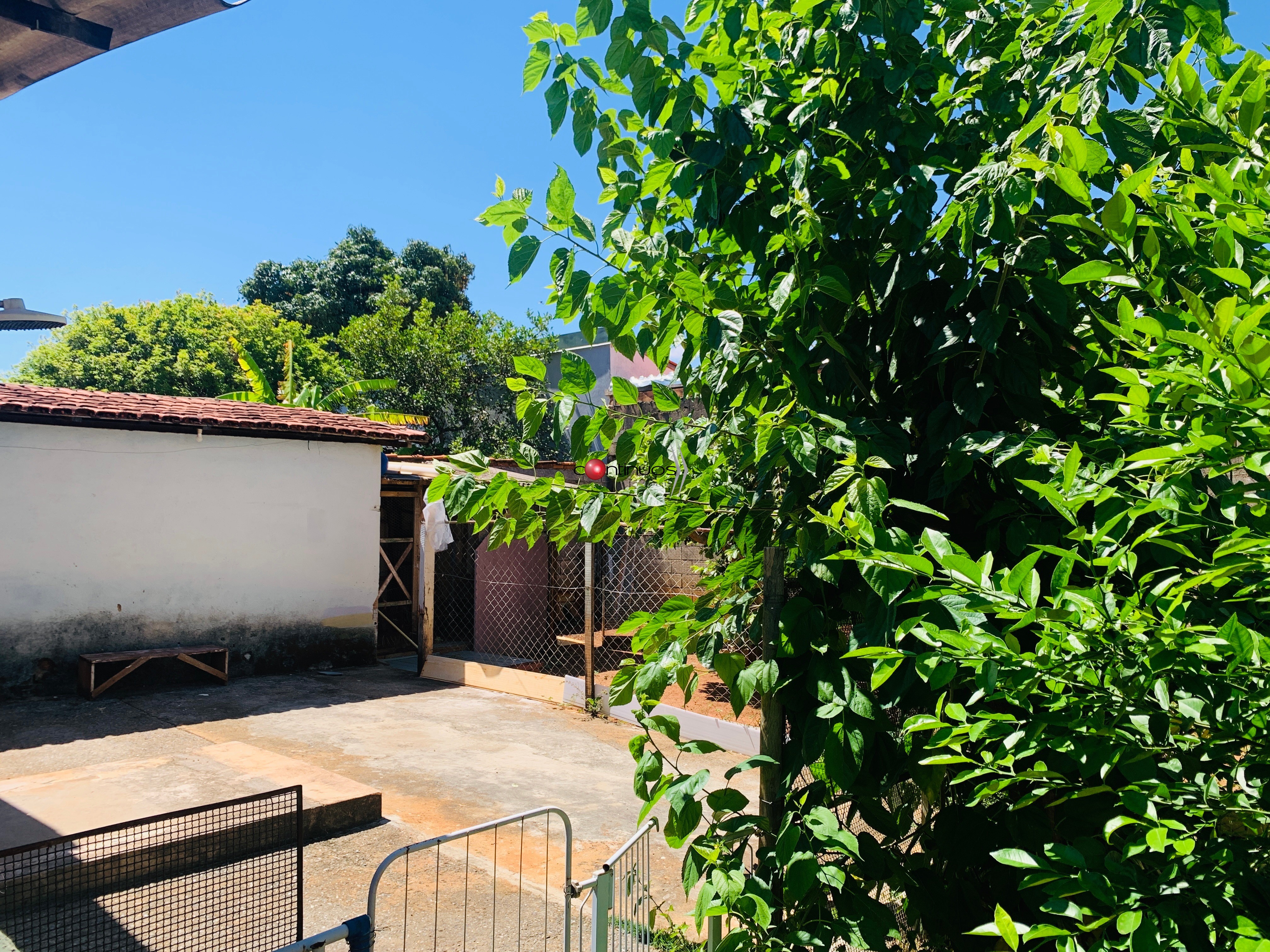 Casa, 3 quartos - Foto 25