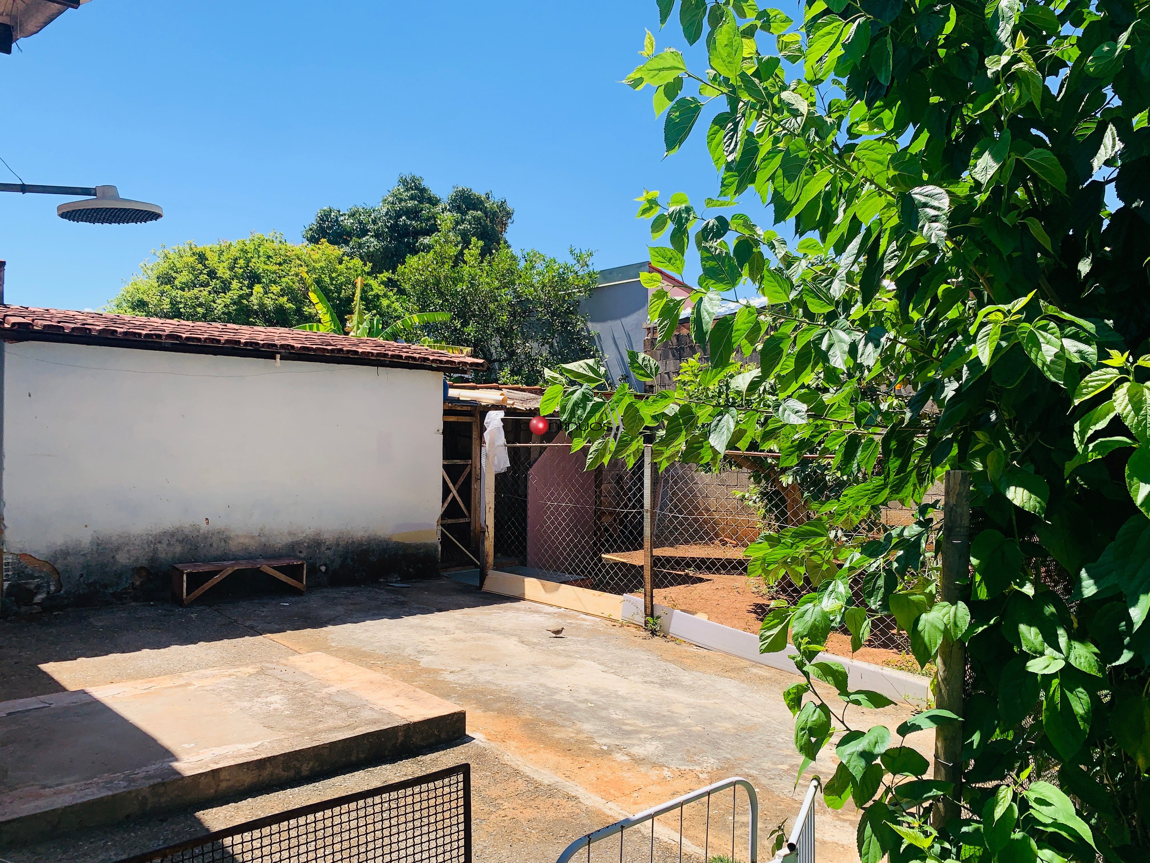 Casa, 3 quartos - Foto 26