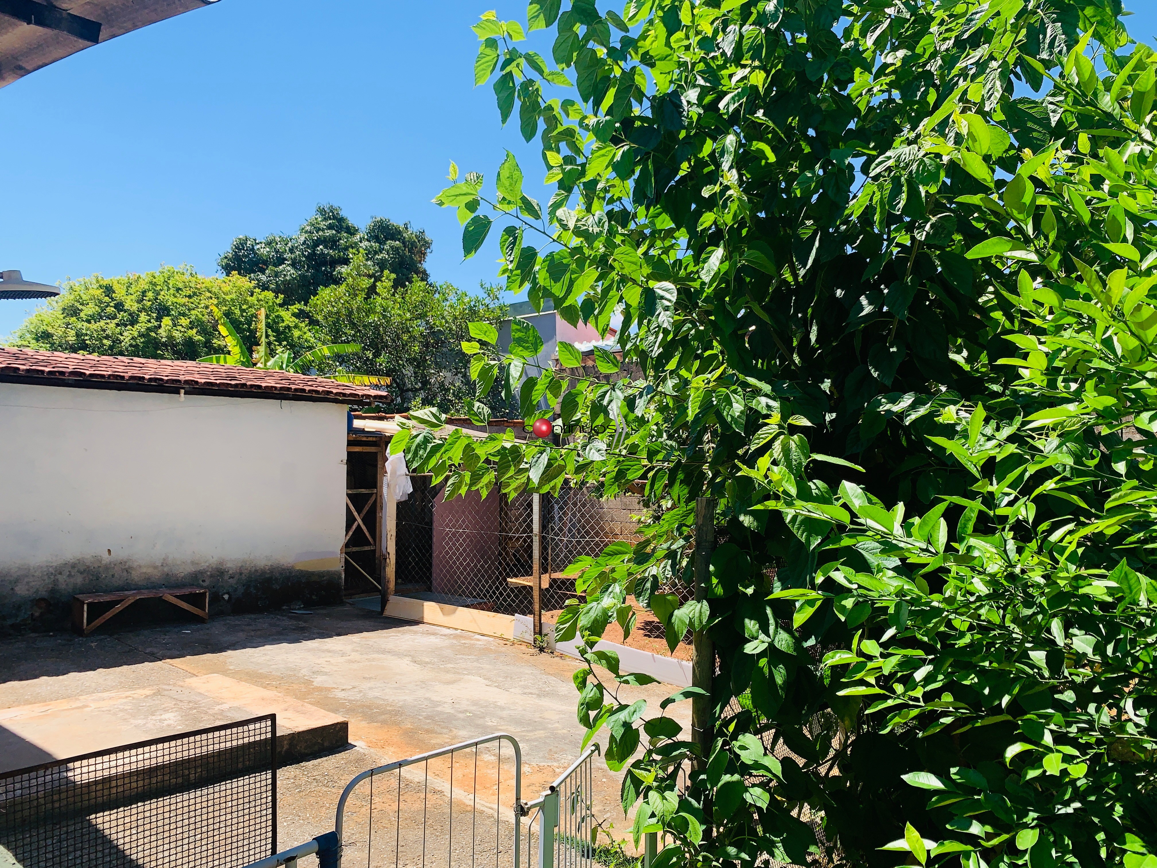 Casa, 3 quartos - Foto 24