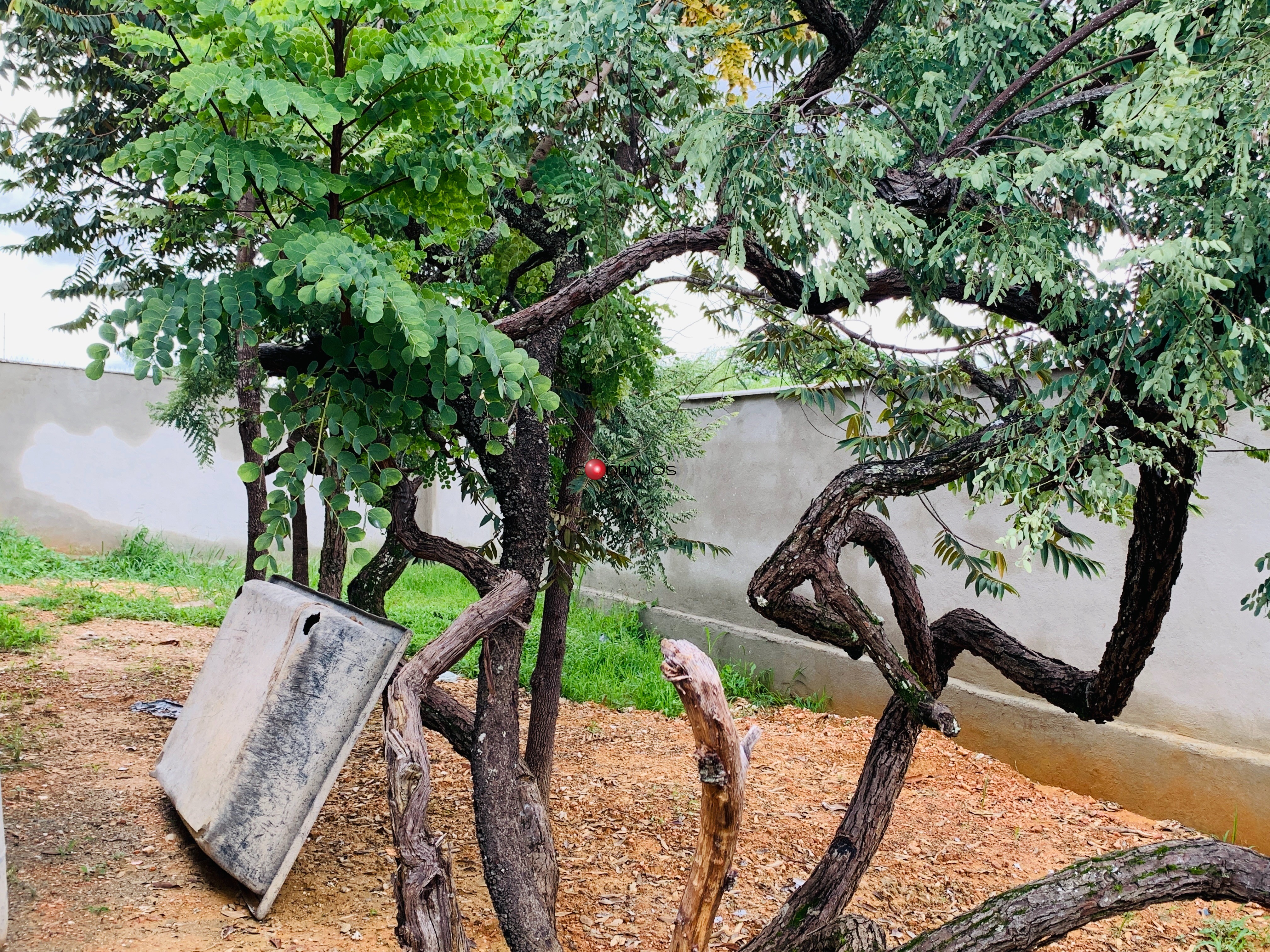 Casa, 4 quartos, 980 m² - Foto 49