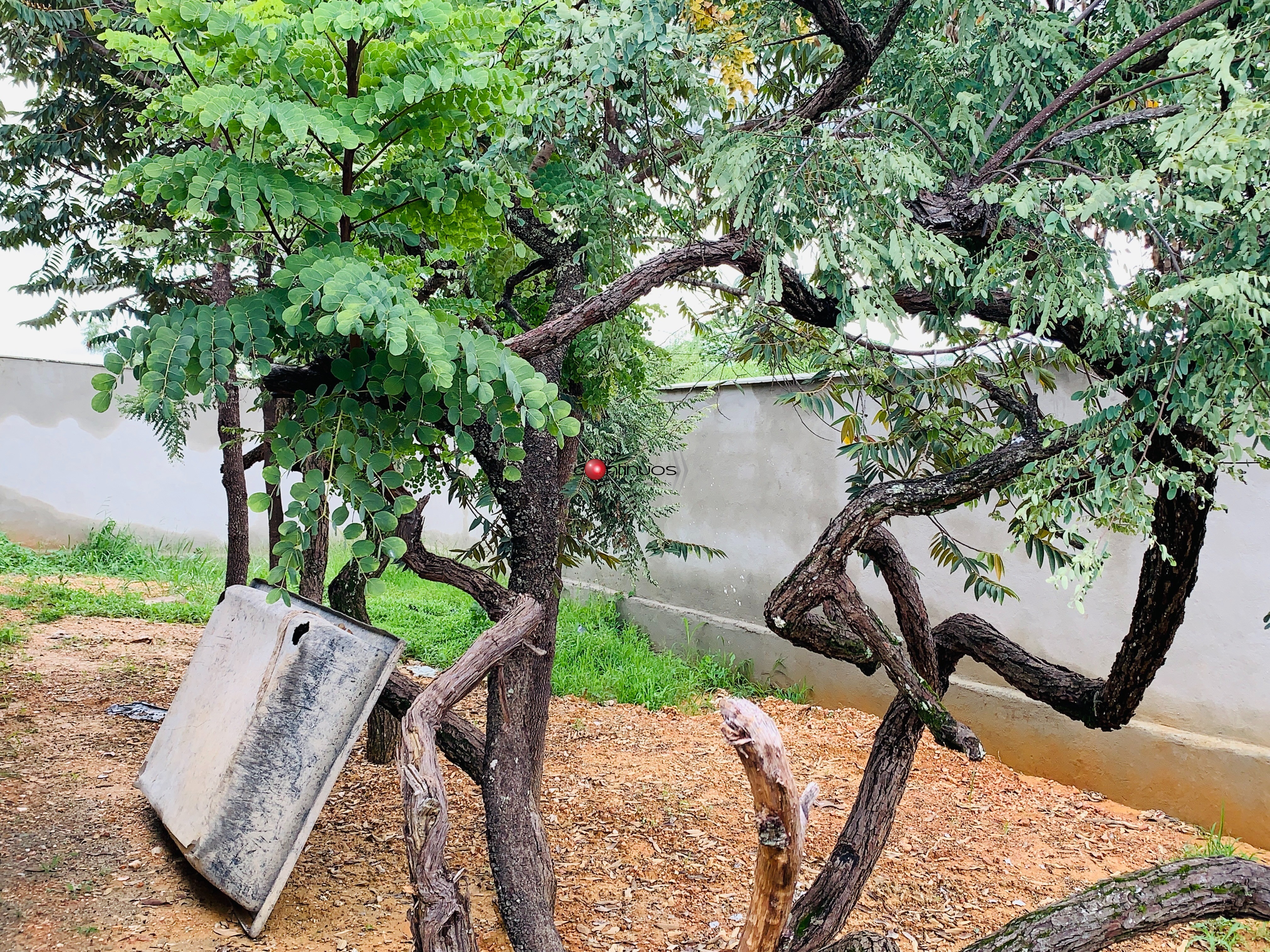 Casa, 4 quartos, 980 m² - Foto 47