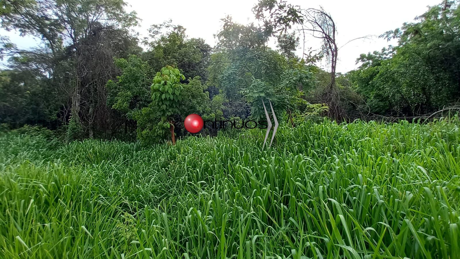 Terreno, 1000 m² - Foto 1