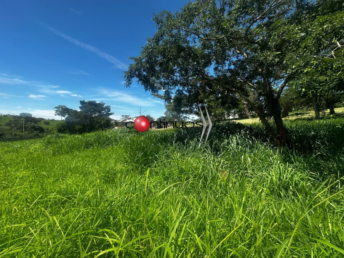 Terreno, 1000 m² - Foto 3