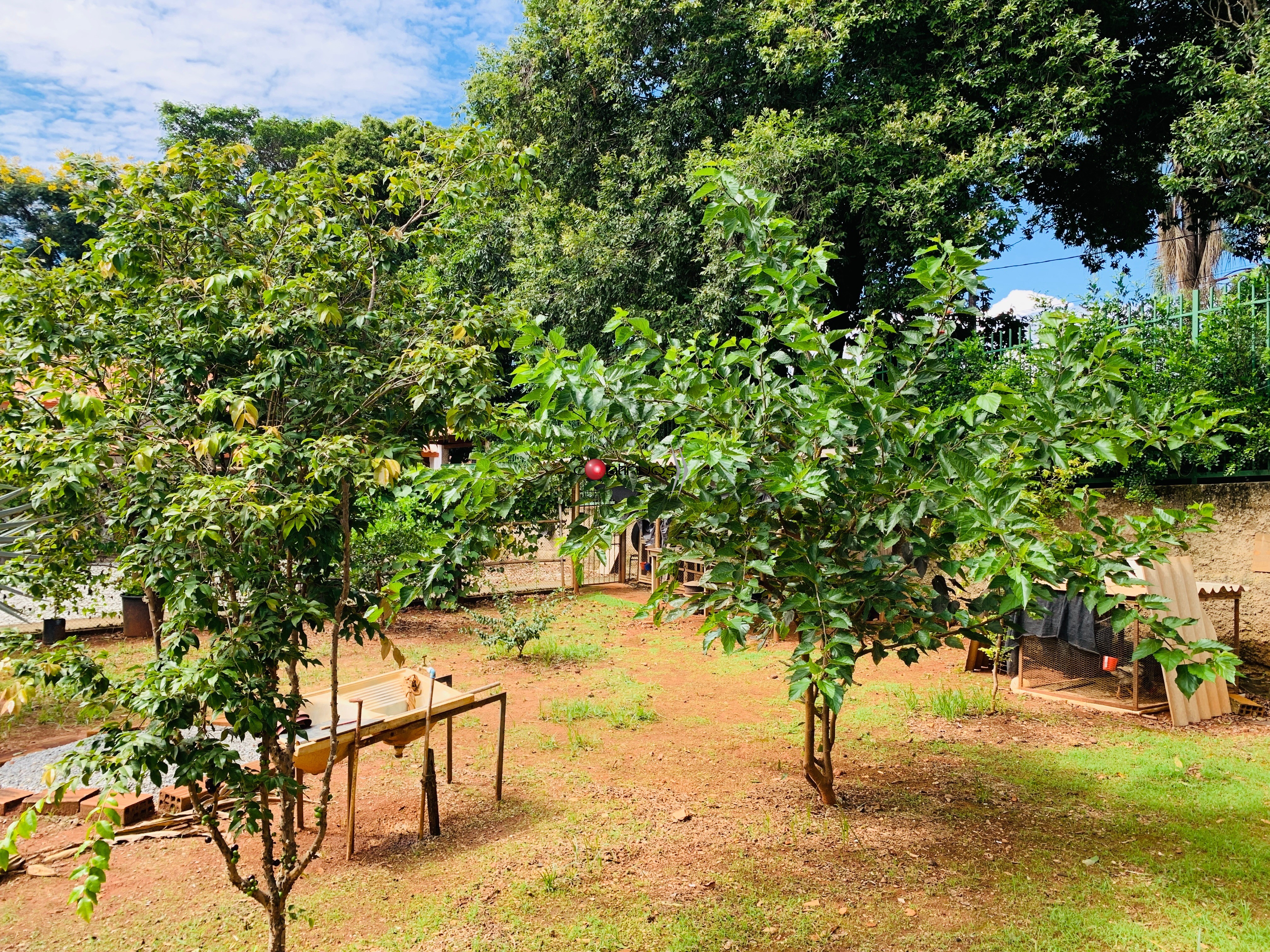 Casa, 5 quartos - Foto 43