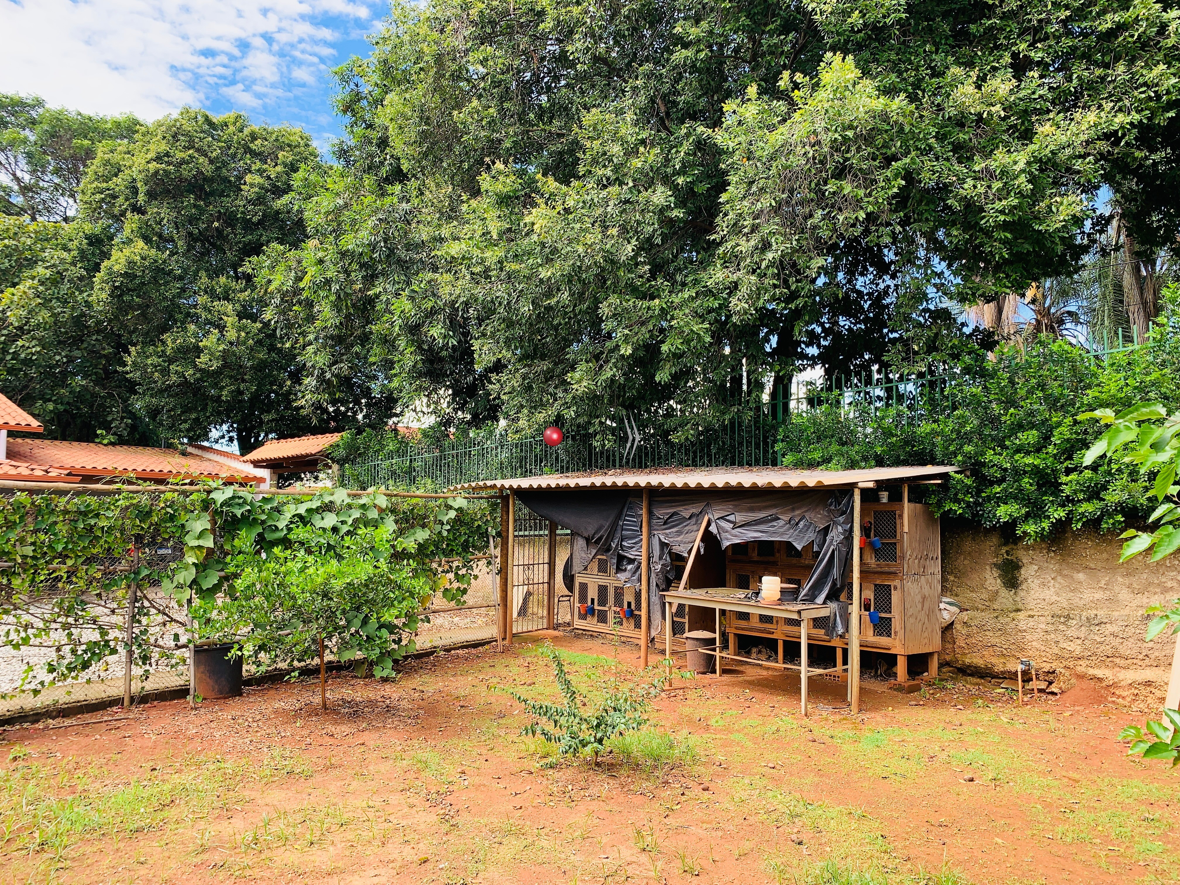 Casa, 5 quartos - Foto 44