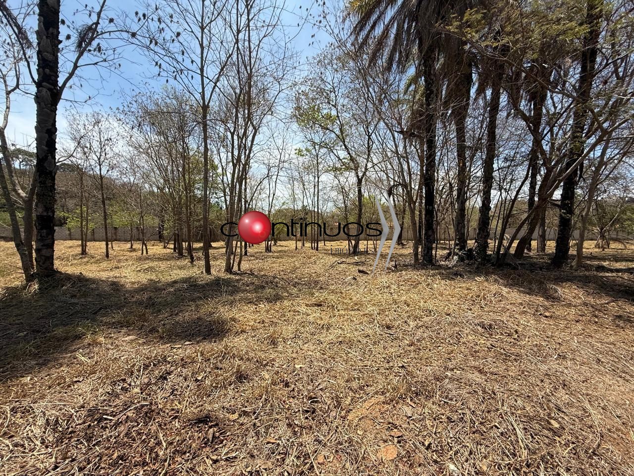 Terreno, 1685 m² - Foto 3