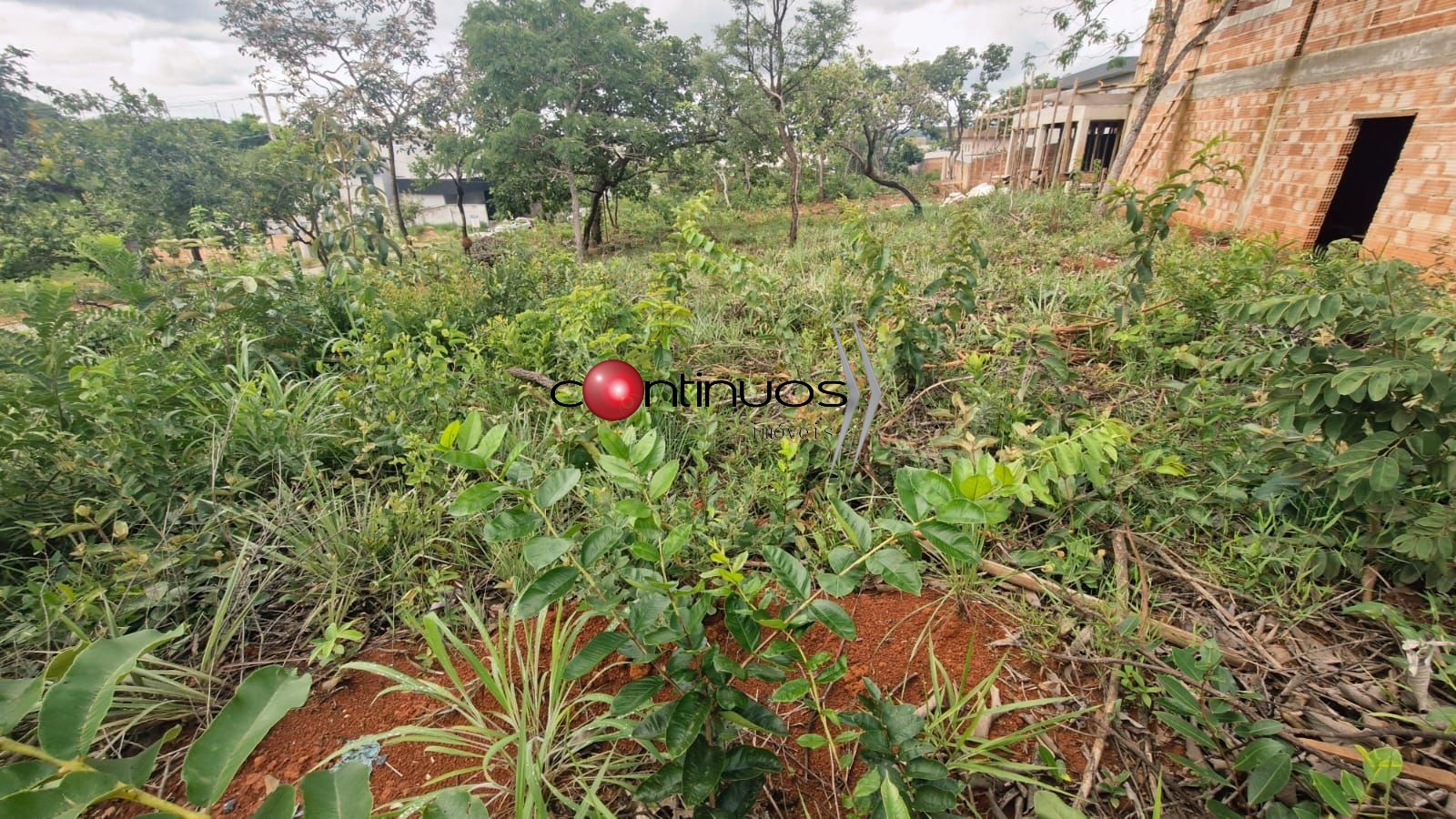 Terreno, 367 m² - Foto 4