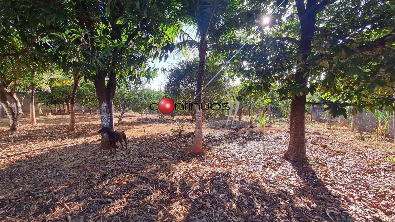 Terreno, 1018 m² - Foto 3