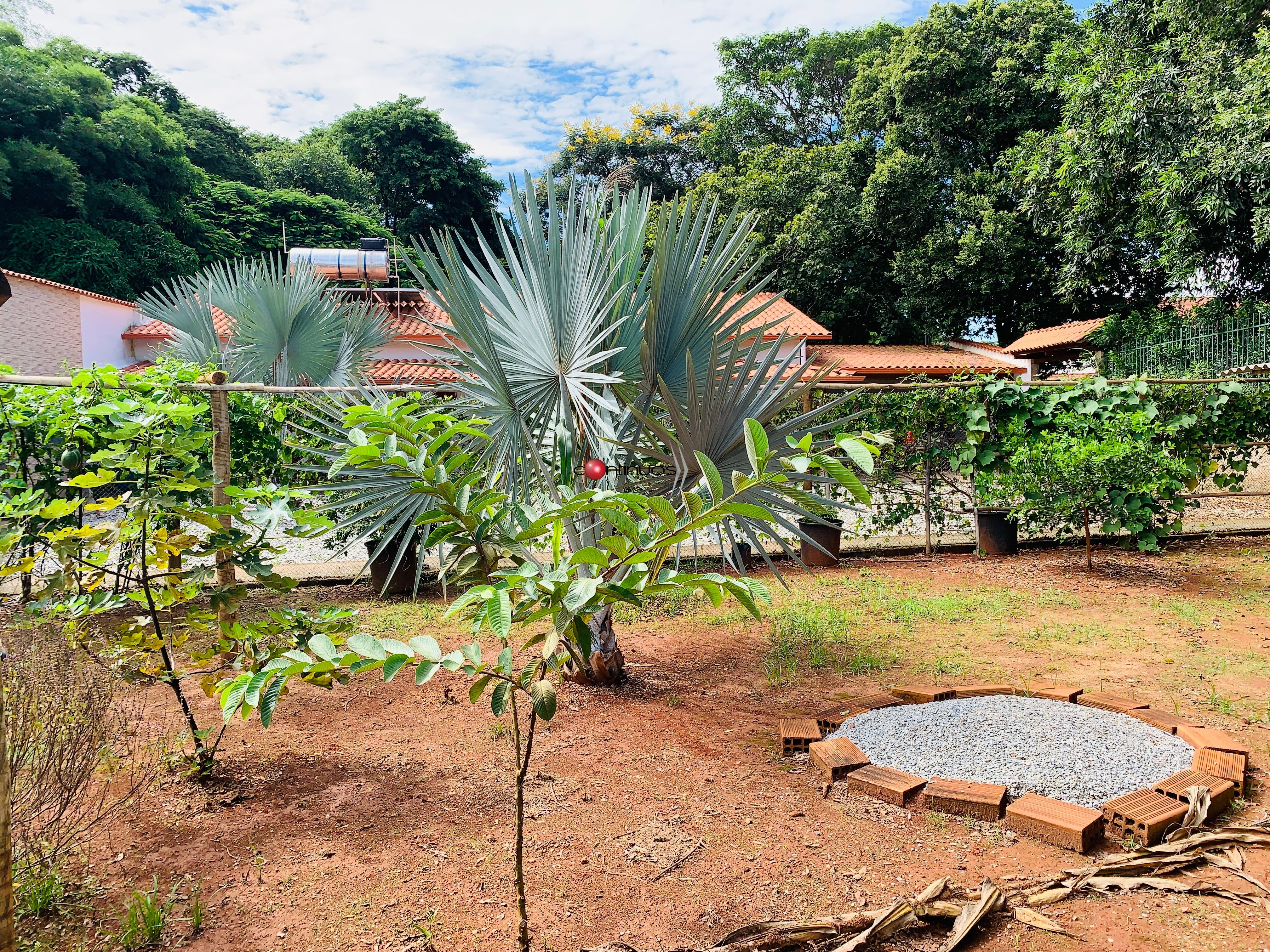 Casa, 5 quartos - Foto 38