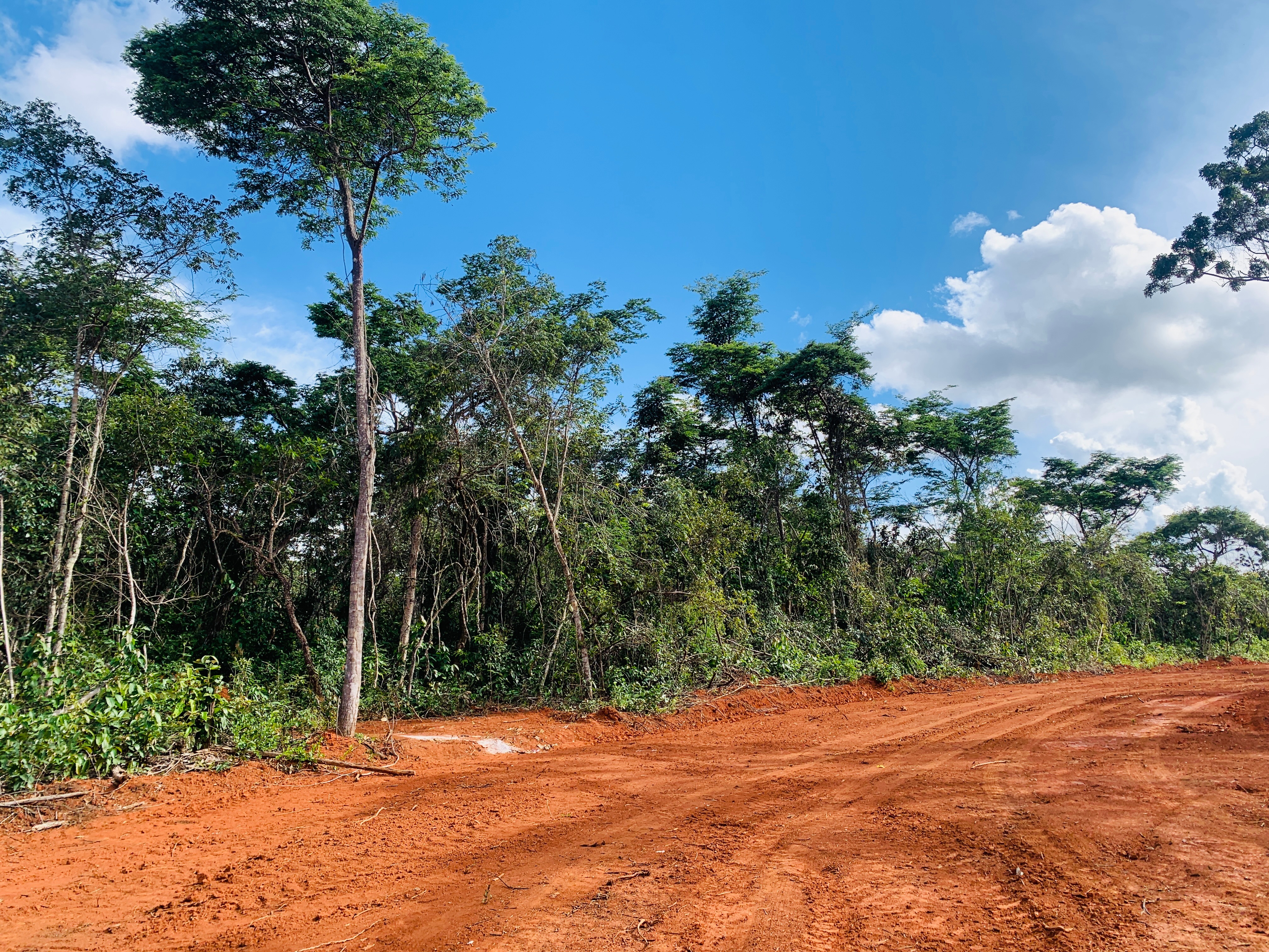 Terreno, 360 m² - Foto 18