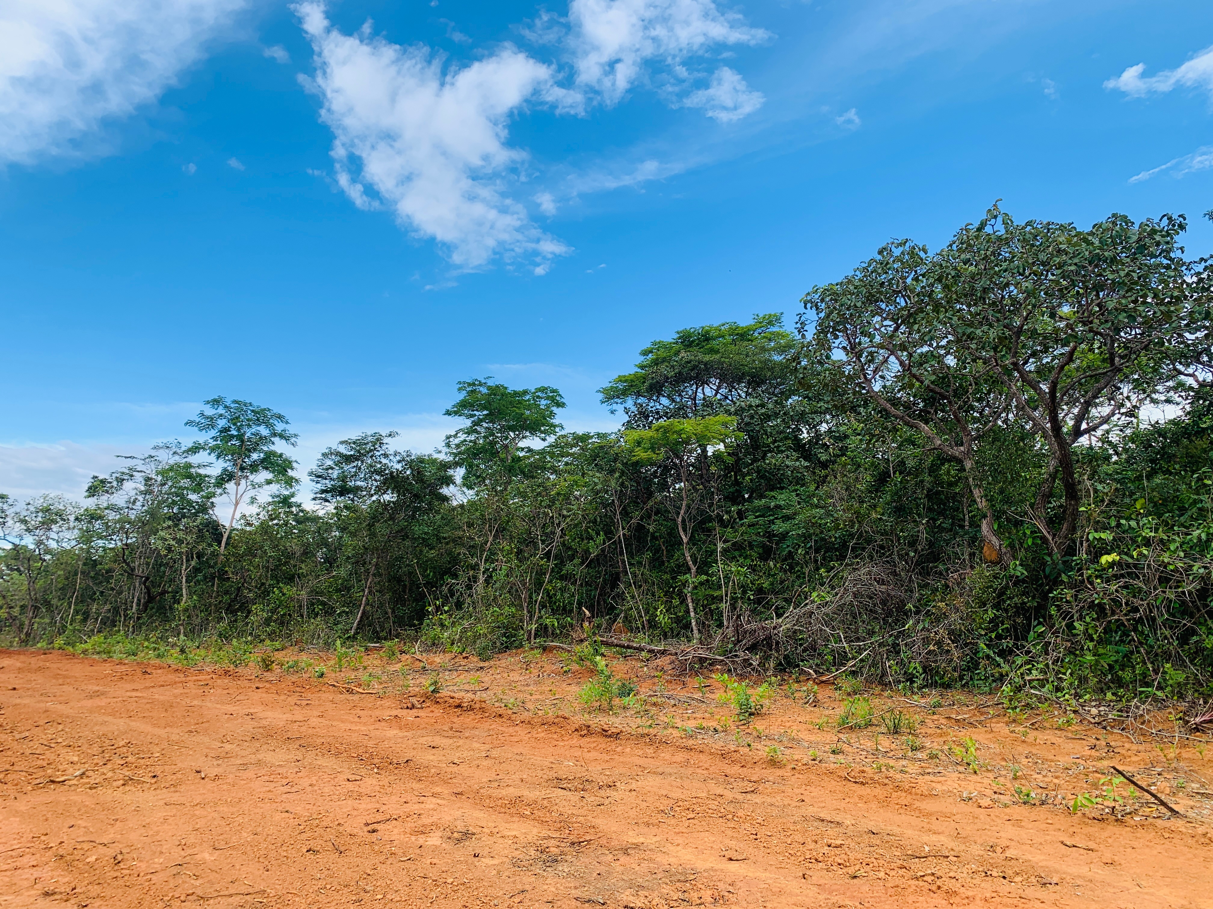Terreno, 360 m² - Foto 33