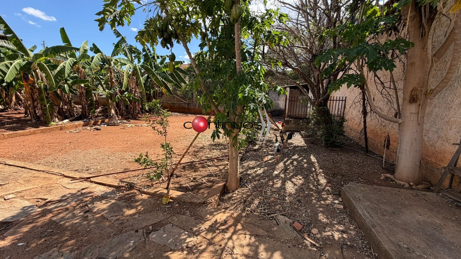 Casa, 3 quartos, 250 m² - Foto 38