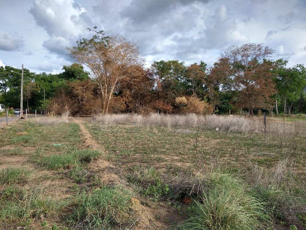 Chácara à venda, 3000m² - Foto 1