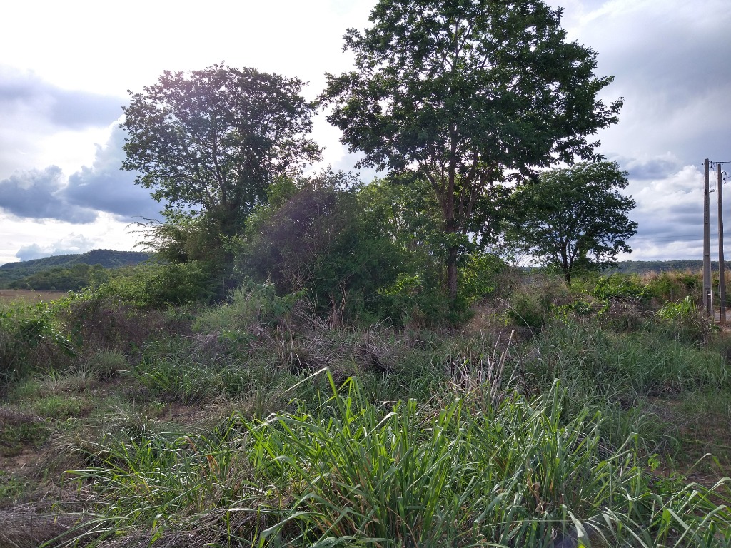 Chácara à venda, 3000m² - Foto 3