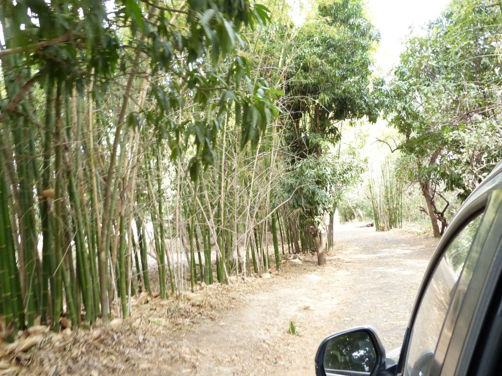 Foto Chácara alto padrão com acesso asfaltado a 14 km de Barreiras | Ba