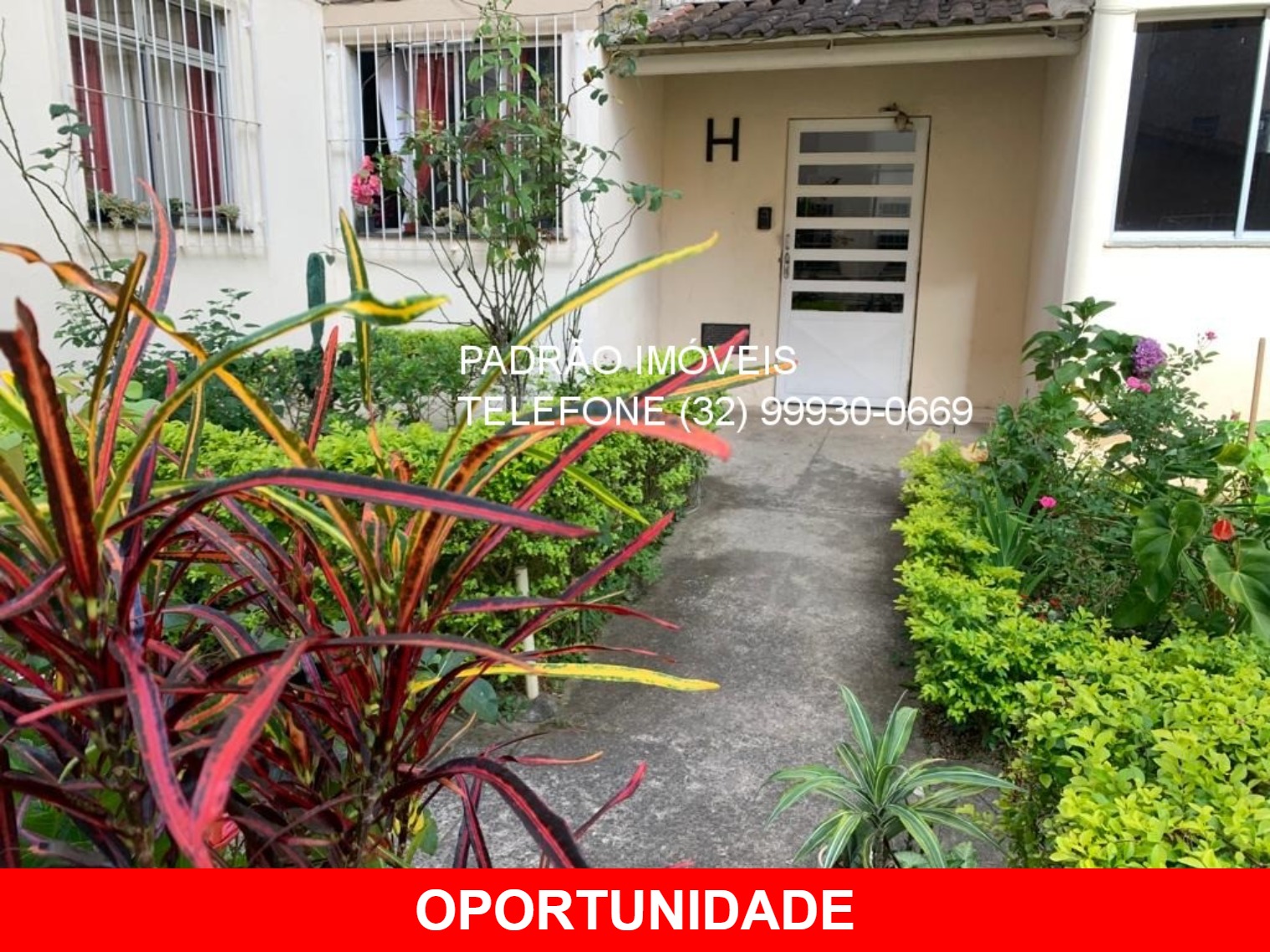 Apartamento à venda com 2 quartos, 56m² - Foto 1