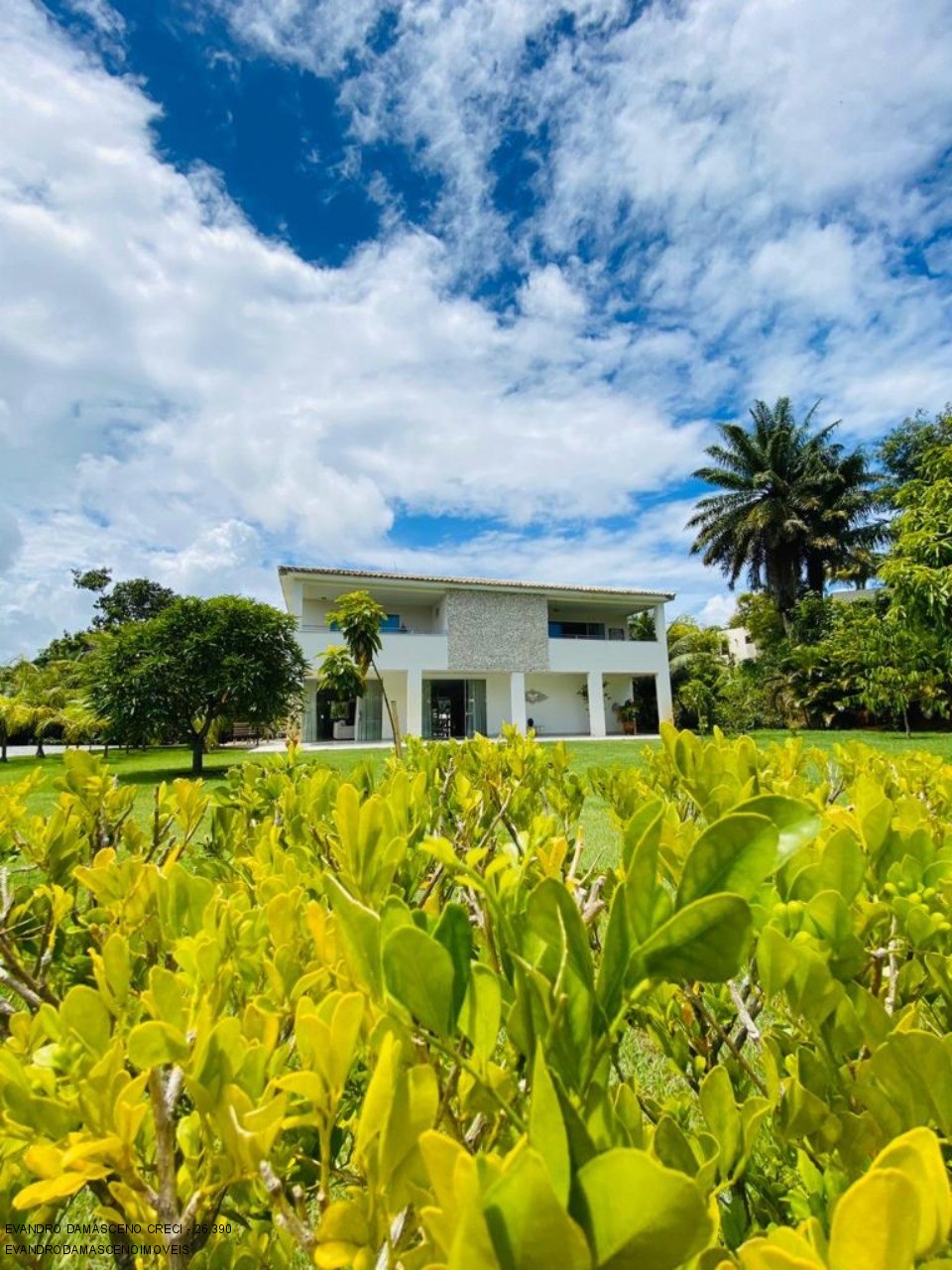 Casa à venda e aluguel com 6 quartos, 1300m² - Foto 20