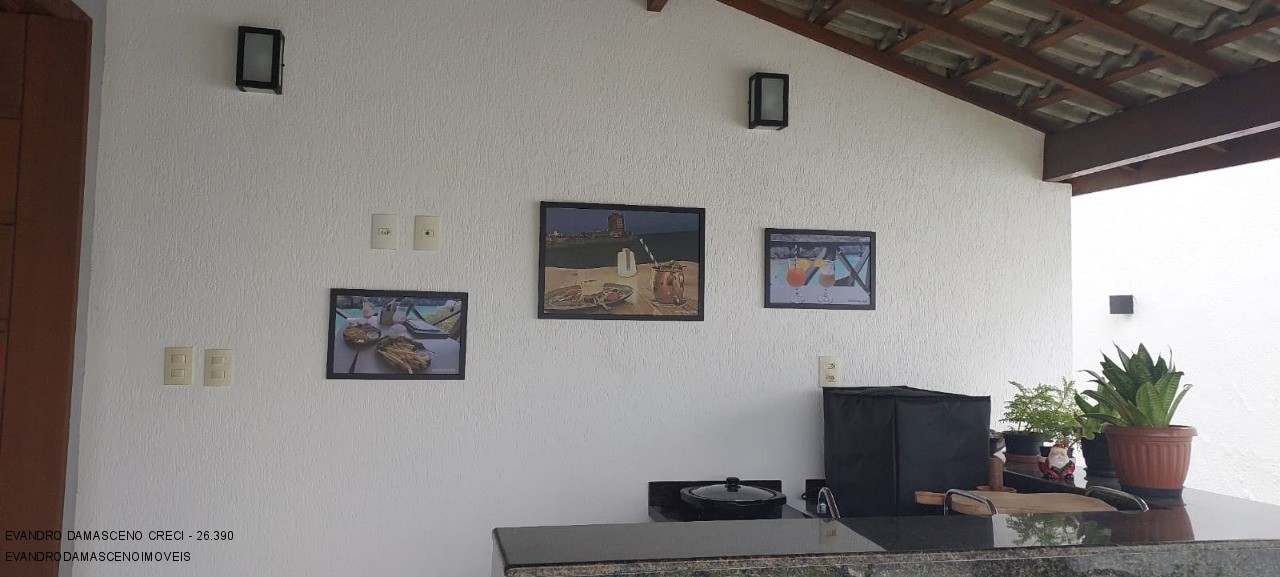 Casa, 4 quartos, 290 m² - Foto 9