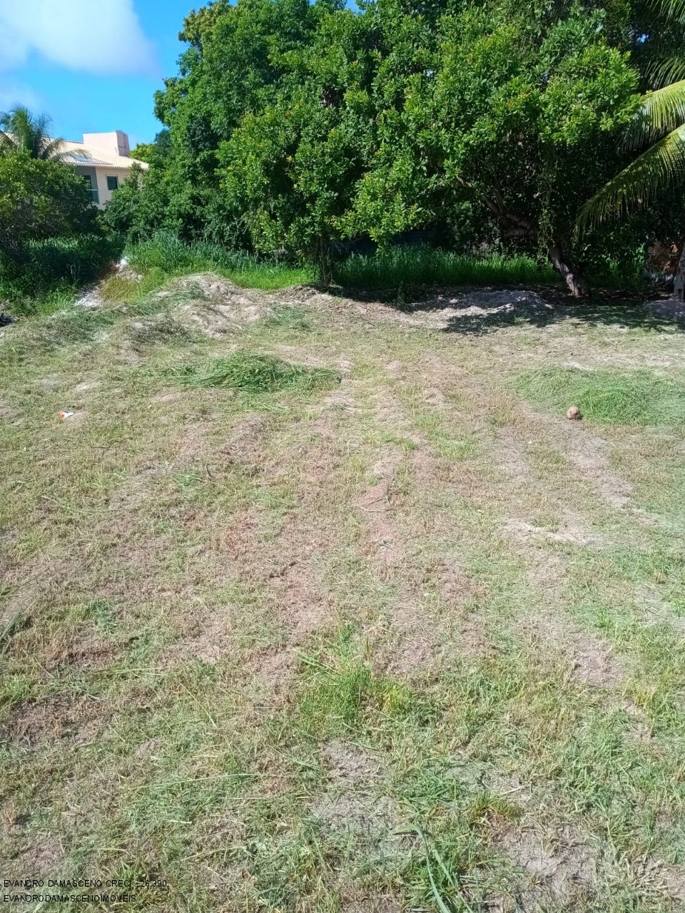Terreno, 700 m² - Foto 7