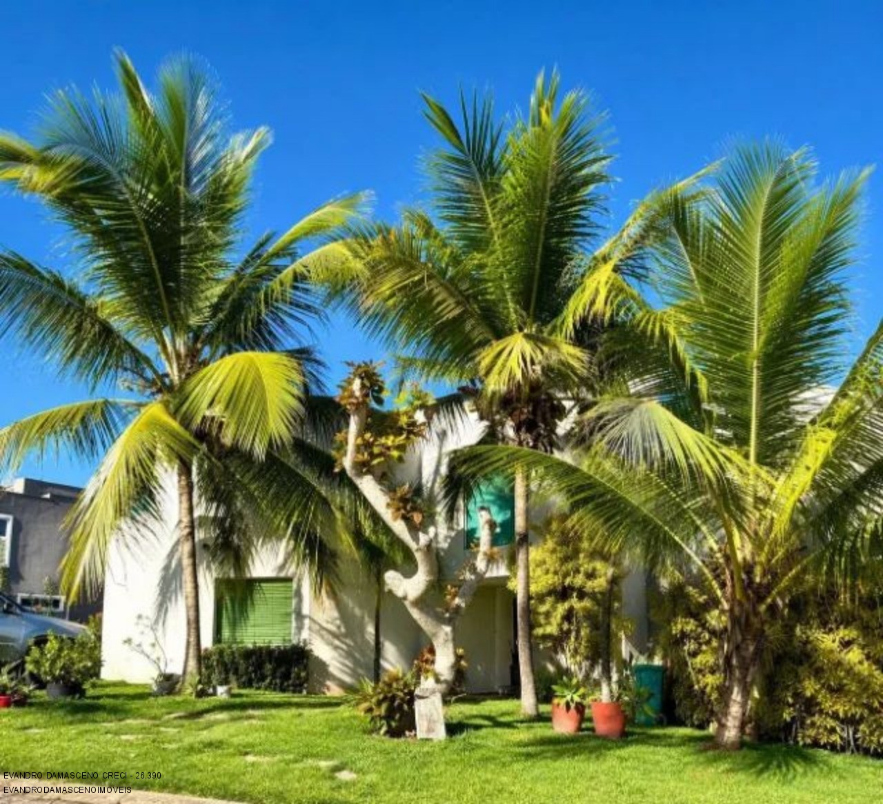 Casa, 4 quartos, 290 m² - Foto 1