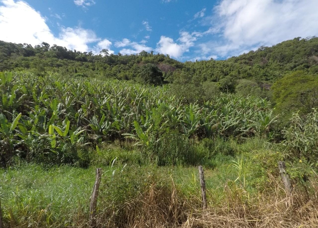 Fazenda à venda com 4 quartos, 43m² - Foto 24