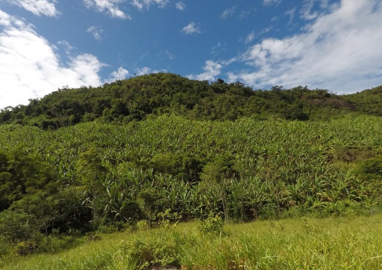 Fazenda à venda com 4 quartos, 43m² - Foto 17